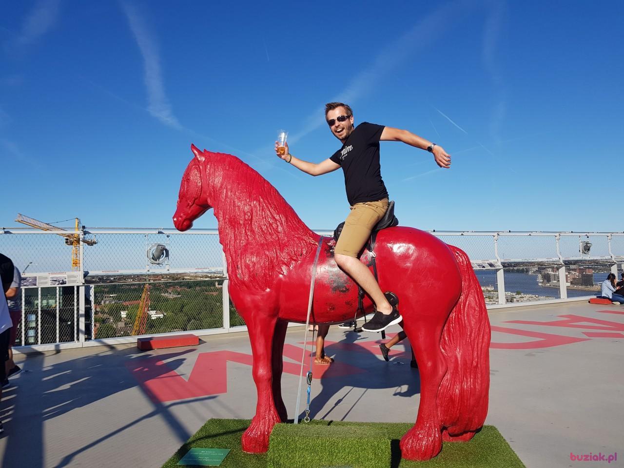 Daniel, Mężczyzna, 42, Wakefield, Wielka Brytania, Zdjęcie: 2