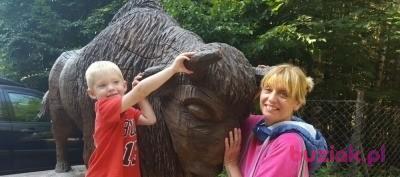 Bożena , Kobieta, 65, Manchester, Wielka Brytania, Zdjęcie: 5