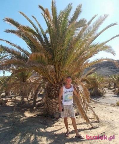 mateusz, Mężczyzna, 39, Nowogrodziec, Polska, Zdjęcie: 2