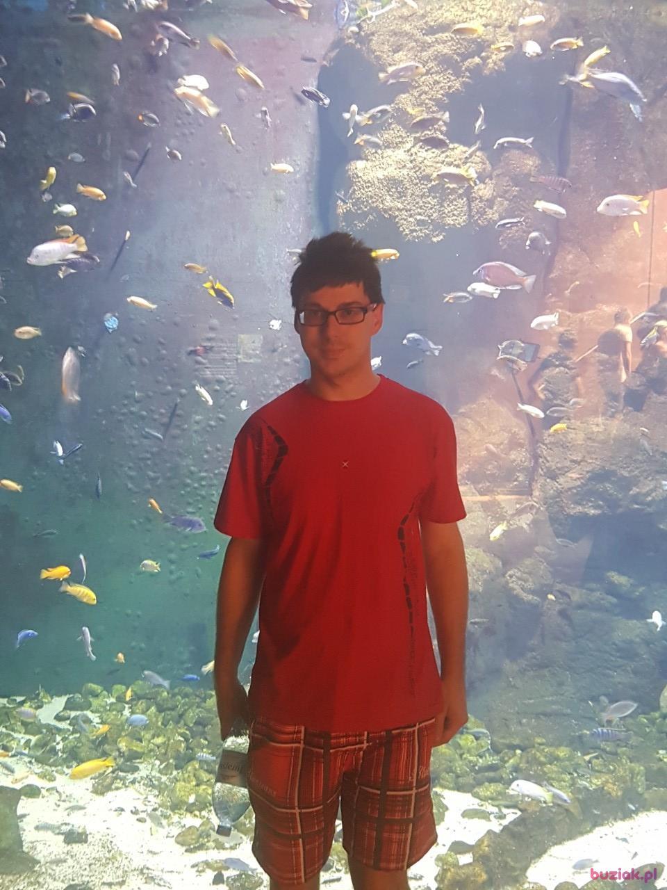 Gerard, Male, 40, Wieruszów, Polska, Photo: 4