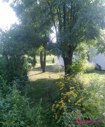 Tomek, Mężczyzna, 37, Sierpc, Polska, Zdjęcie: 5