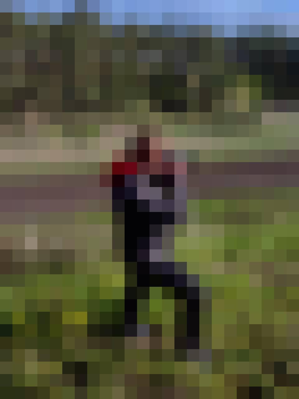 Norbert, Male, 29, Tczew, Polska, Photo: 2