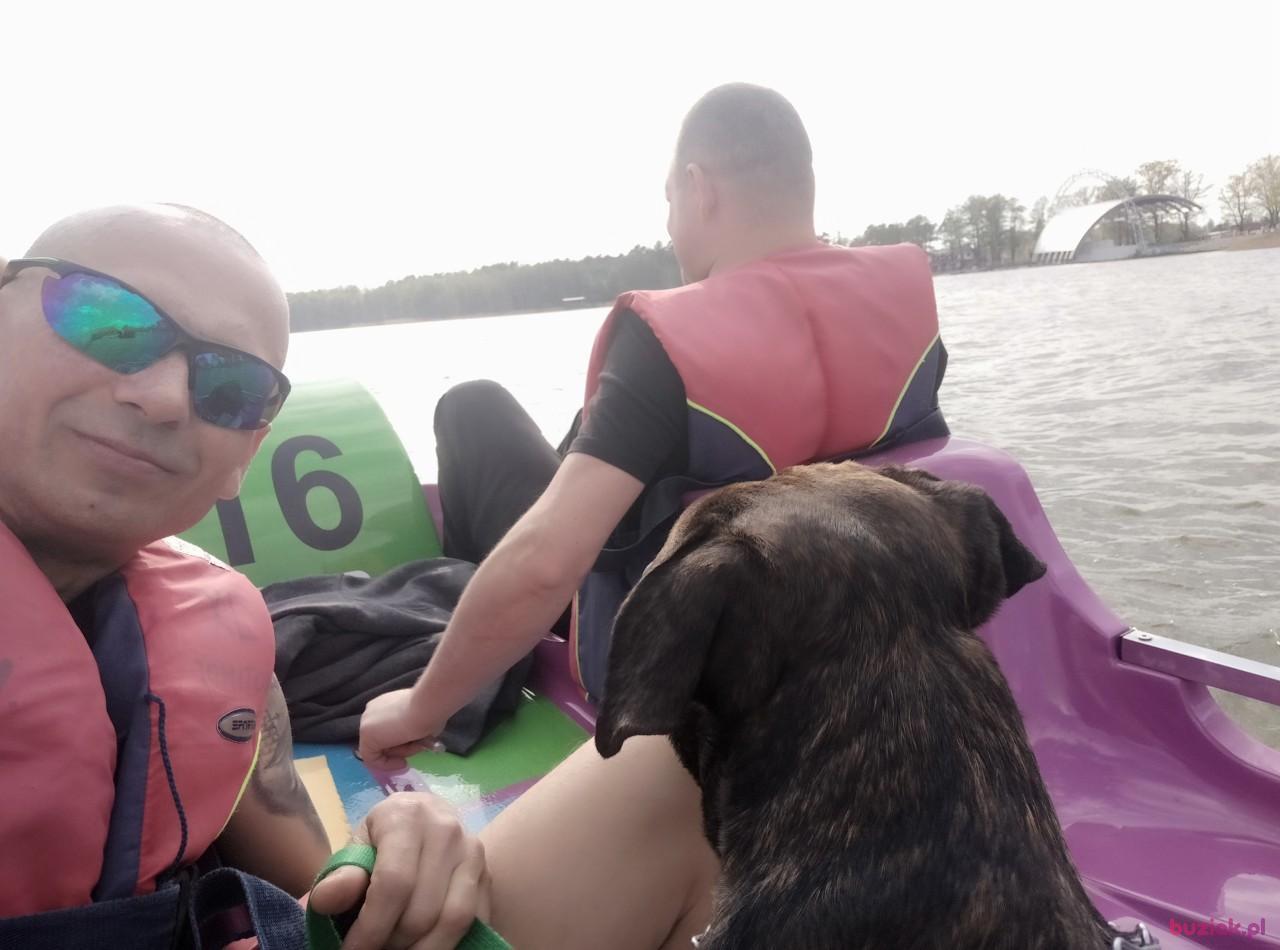 Cezary, Mężczyzna, 54, Warszawa, Polska, Zdjęcie: 5