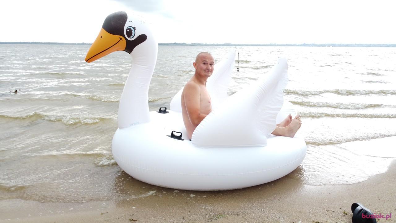 Michał, Male, 37, Zgierz, Polska, Photo: 565