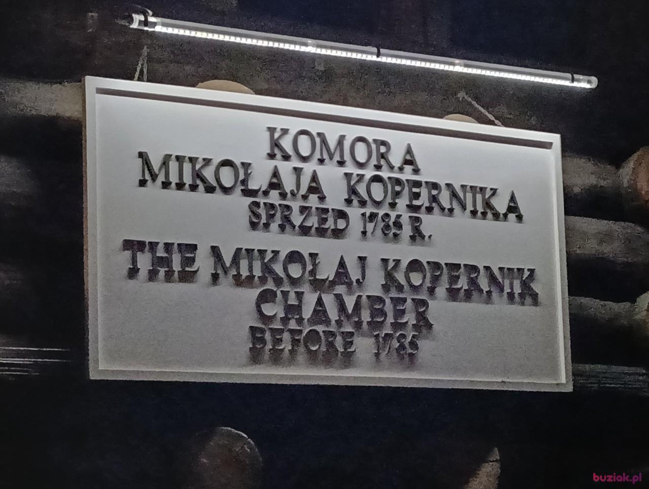 MarioFCB, Mężczyzna, 36, Oss, Holandia, Zdjęcie: 4