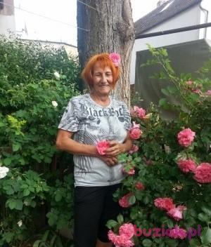 lusi15, Female, 73, Wrocław, Polska, Photo: 5