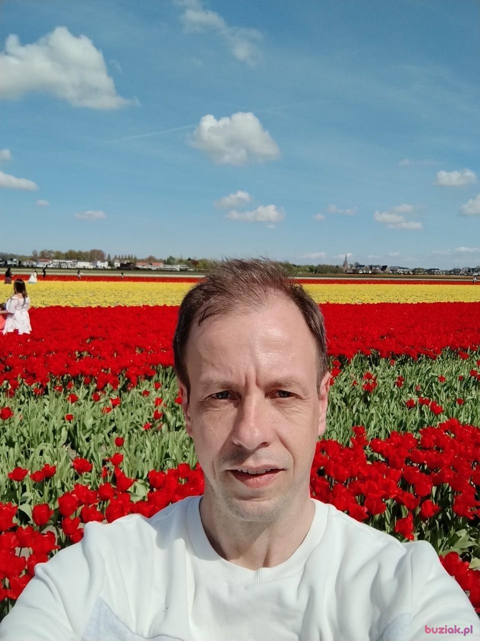 Konrad, Mężczyzna, 50, Radom, Polska, Zdjęcie: 9