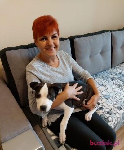 Mariola, Kobieta, 63, Bydgoszcz, Polska, Zdjęcie: 4