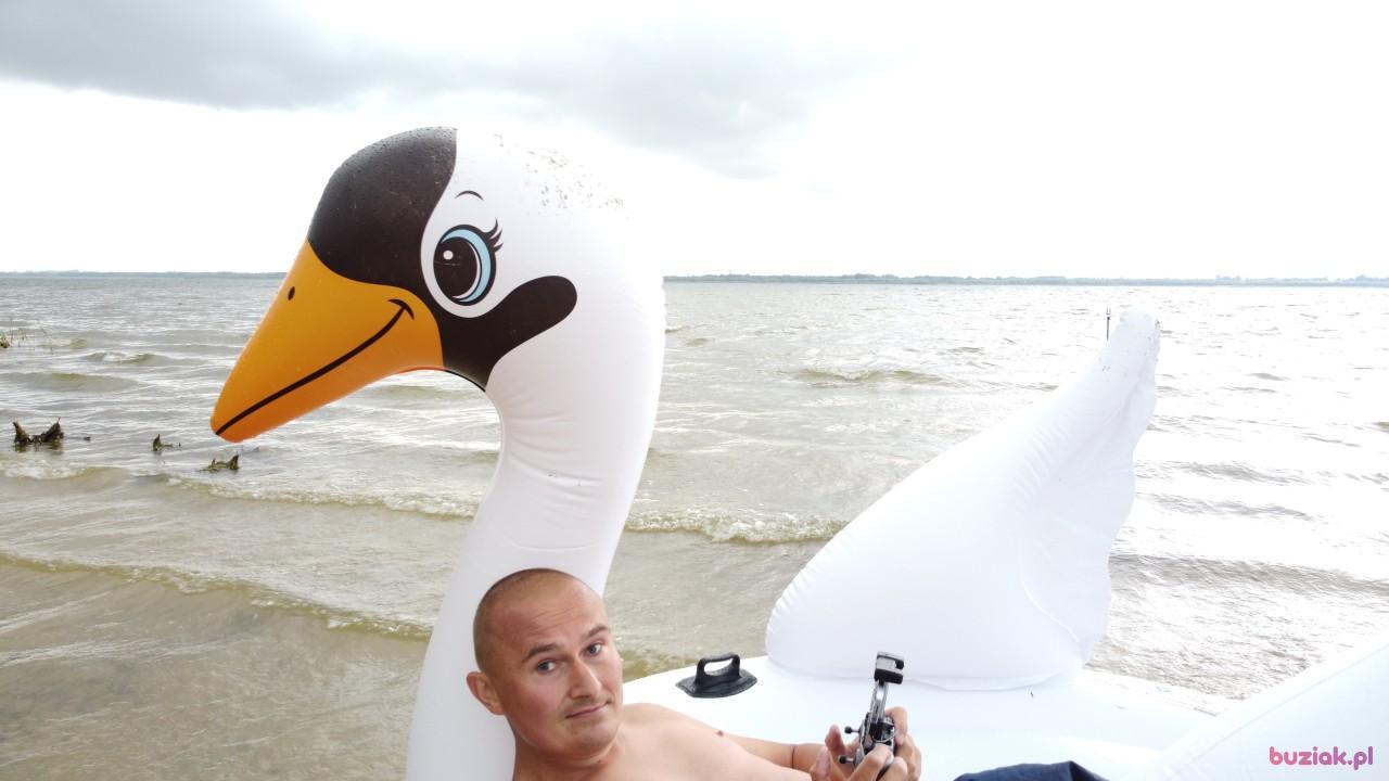 Michał, Male, 37, Zgierz, Polska, Photo: 553