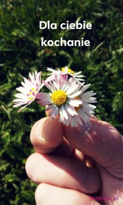 Adam, Mężczyzna, 58, Gorzów Wielkopolski, Polska, Zdjęcie: 6