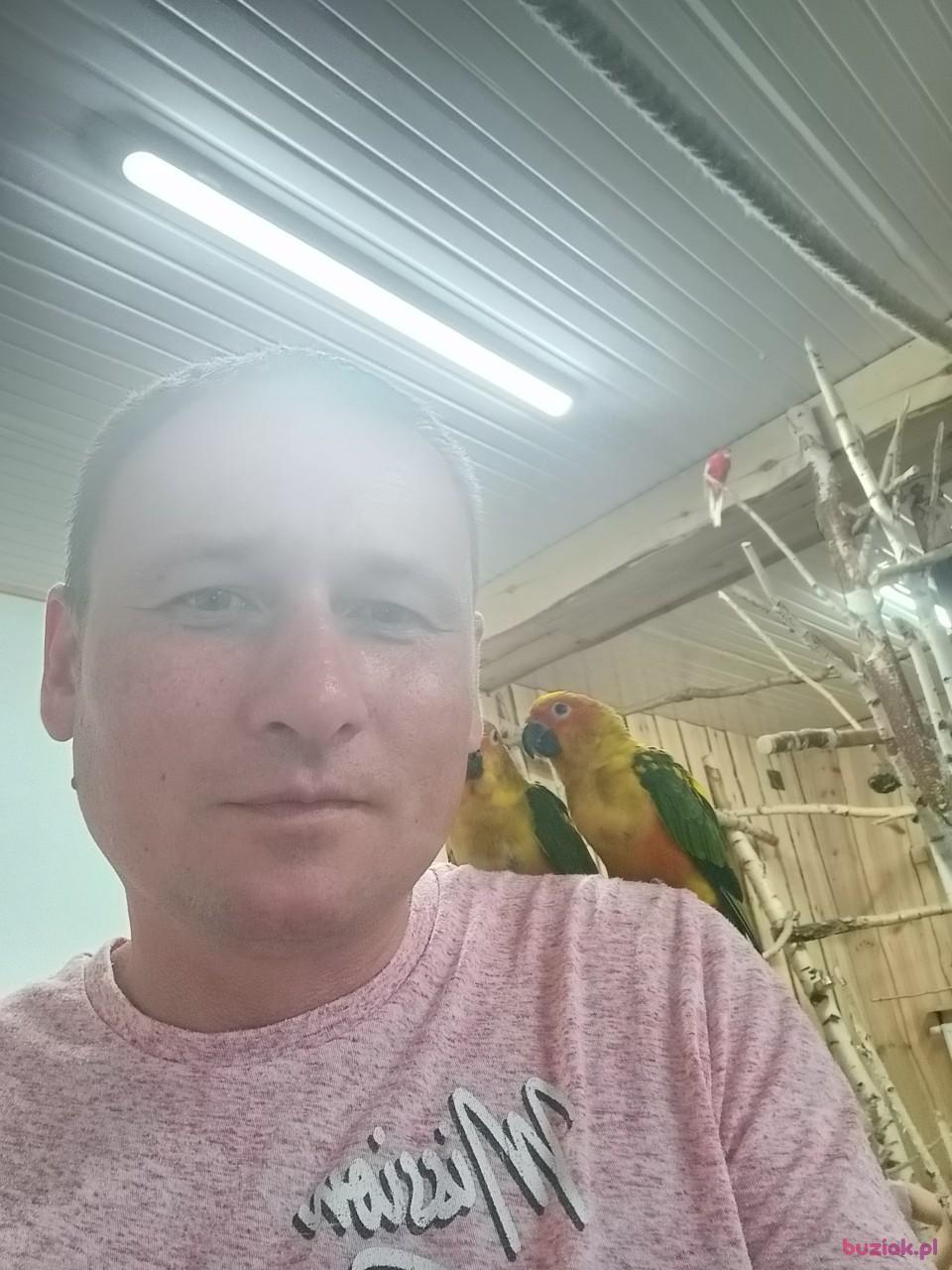 Robert, Mężczyzna, 44, Almere, Holandia, Zdjęcie: 4