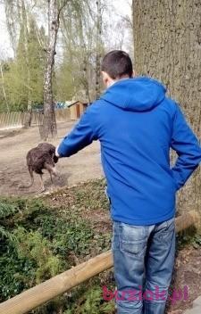Grzegorz, Mężczyzna, 43, Nowy Sącz, Polska, Zdjęcie: 2