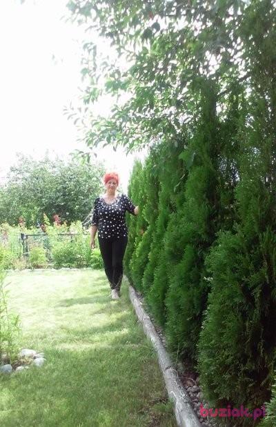 ruda-olka, Female, 70, Rogoźno, Polska, Photo: 4