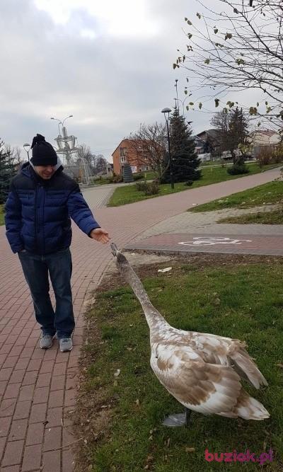Jarosław, Mężczyzna, 41, Zambrów, Polska, Zdjęcie: 2