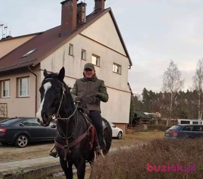 lukasz, Male, 43, Polska, Photo: 2