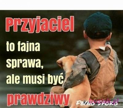 Elżbieta, Kobieta, 64, Poznań, Polska, Zdjęcie: 4