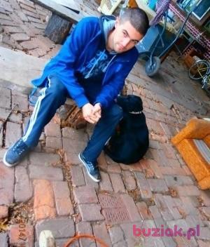 Sven1995, Mężczyzna, 31, Lubin, Polska, Zdjęcie: 2