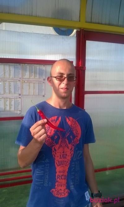 Patryk, Mężczyzna, 37, Inowrocław, Polska, Zdjęcie: 4