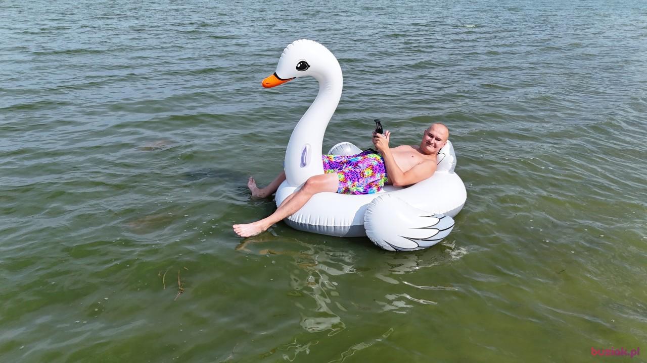 Michał, Male, 37, Zgierz, Polska, Photo: 765