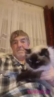 maxon2, Mężczyzna, 68, Kostrzyn, Polska, Zdjęcie: 1