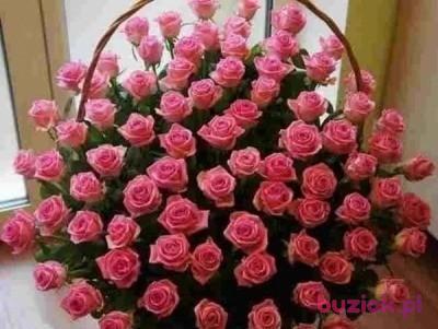 Agnieszka, Female, 69, Żarki, Polska, Photo: 2