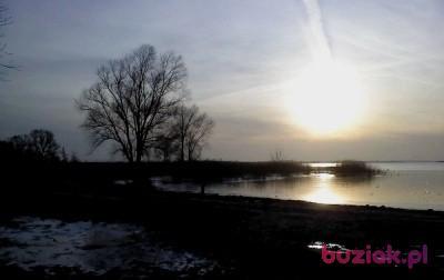 Andrzej, Mężczyzna, 65, Goleniów, Polska, Zdjęcie: 2
