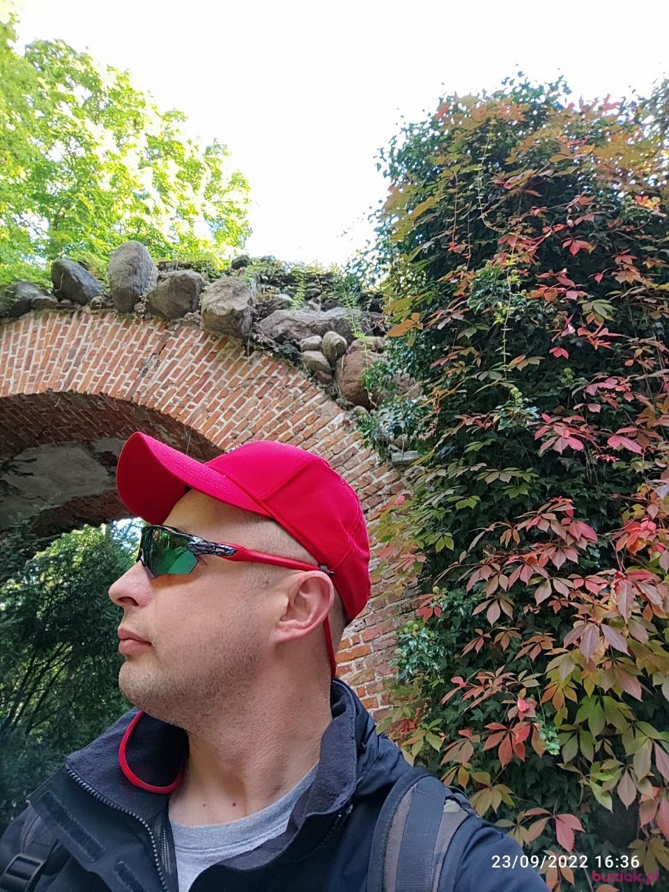 Tomek, Mężczyzna, 45, Broxbourne, Wielka Brytania, Zdjęcie: 3
