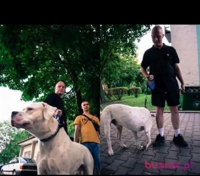 Krzysiek, Mężczyzna, 32, Westminster, Wielka Brytania, Zdjęcie: 2