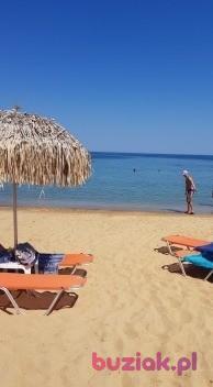 Grazyna , Kobieta, 68, Oss, Holandia, Zdjęcie: 12