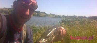 pawelstrzeg, Male, 41, Strzegom, Polska, Photo: 3
