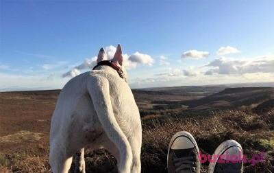 Viking, Mężczyzna, 47, Sheffield, Wielka Brytania, Zdjęcie: 2