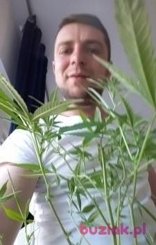 Zbyszek, Mężczyzna, 34, Andrychów, Polska, Zdjęcie: 2