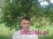 bogusław, Mężczyzna, 59, Czarnków, Polska, Zdjęcie: 2