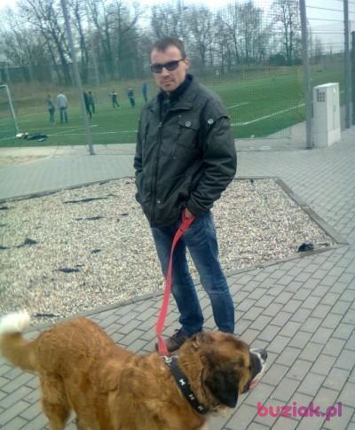 Mirekn, Mężczyzna, 43, Lubin, Polska, Zdjęcie: 4