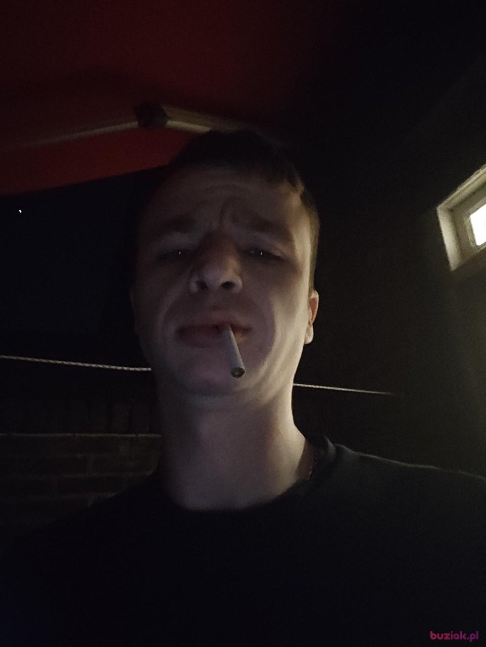 Aleks, Mężczyzna, 36, Arcen, Holandia, Zdjęcie: 2