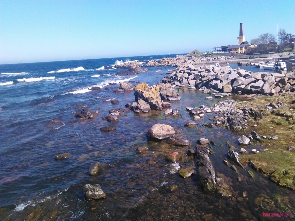 Rob, Mężczyzna, 61, Plymouth, Wielka Brytania, Zdjęcie: 4