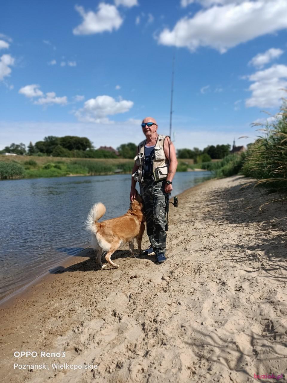 Zdzisław, Mężczyzna, 73, Poznań, Polska, Zdjęcie: 1
