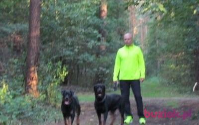 Wojtek, Mężczyzna, 53, Stade, Niemcy, Zdjęcie: 2