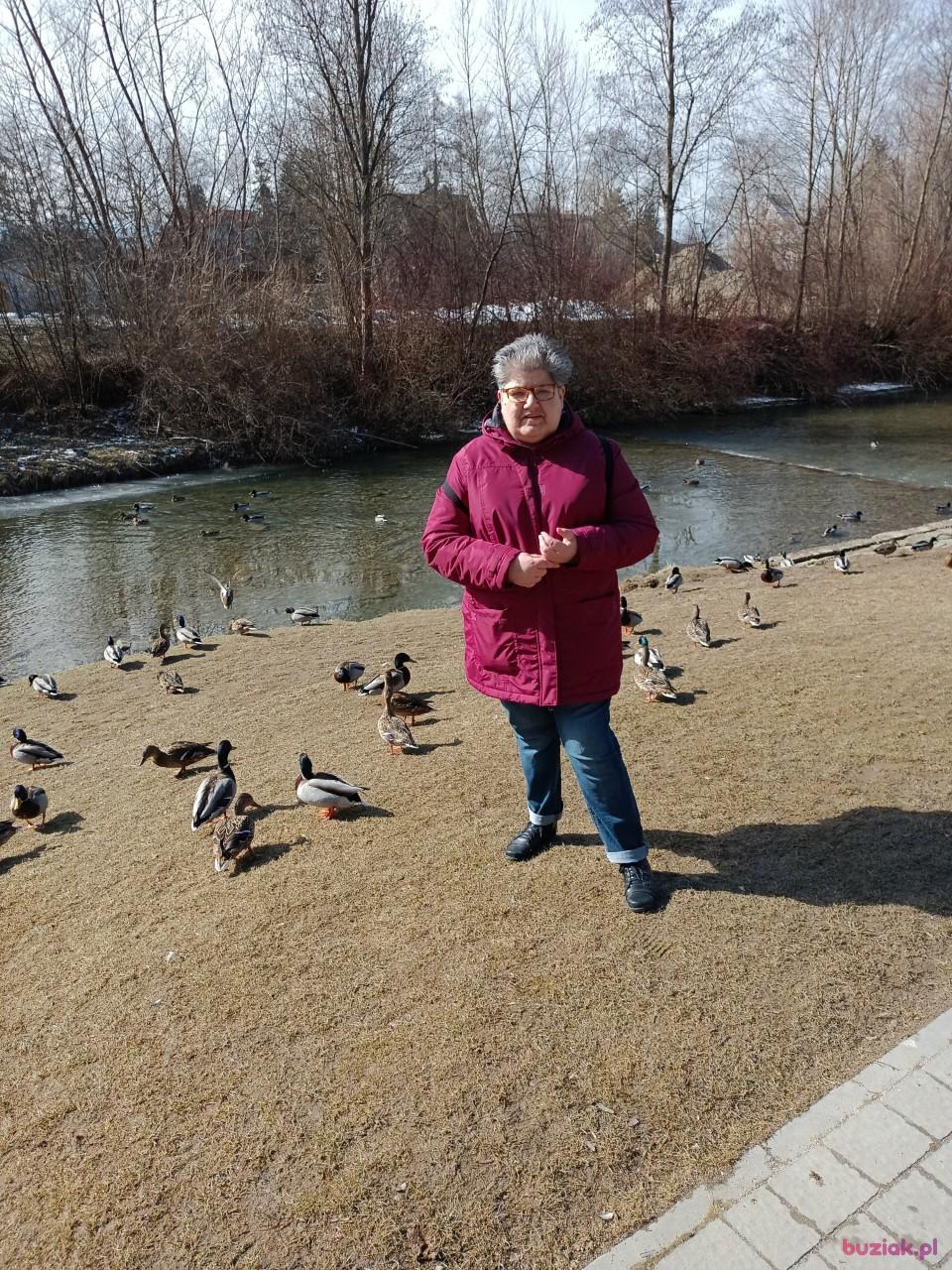 Izabela, Kobieta, 58, Gliwice, Polska, Zdjęcie: 5