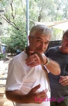 Zbyszek, Mężczyzna, 67, Gdynia, Polska, Zdjęcie: 3