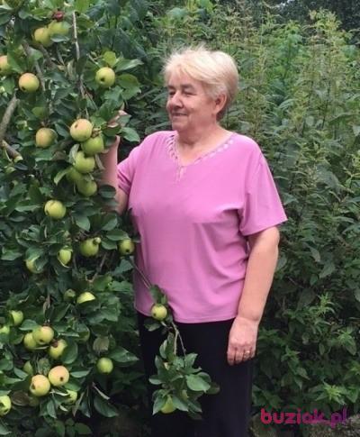 Danuta, Kobieta, 72, Białogard, Polska, Zdjęcie: 2