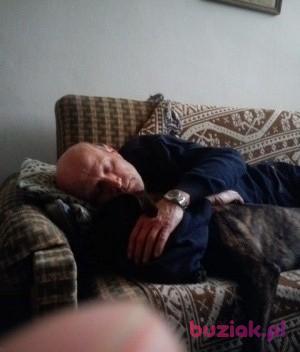 piotr, Mężczyzna, 69, Lublin, Polska, Zdjęcie: 2