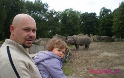 grzegorz, Mężczyzna, 46, Kozienice, Polska, Zdjęcie: 2
