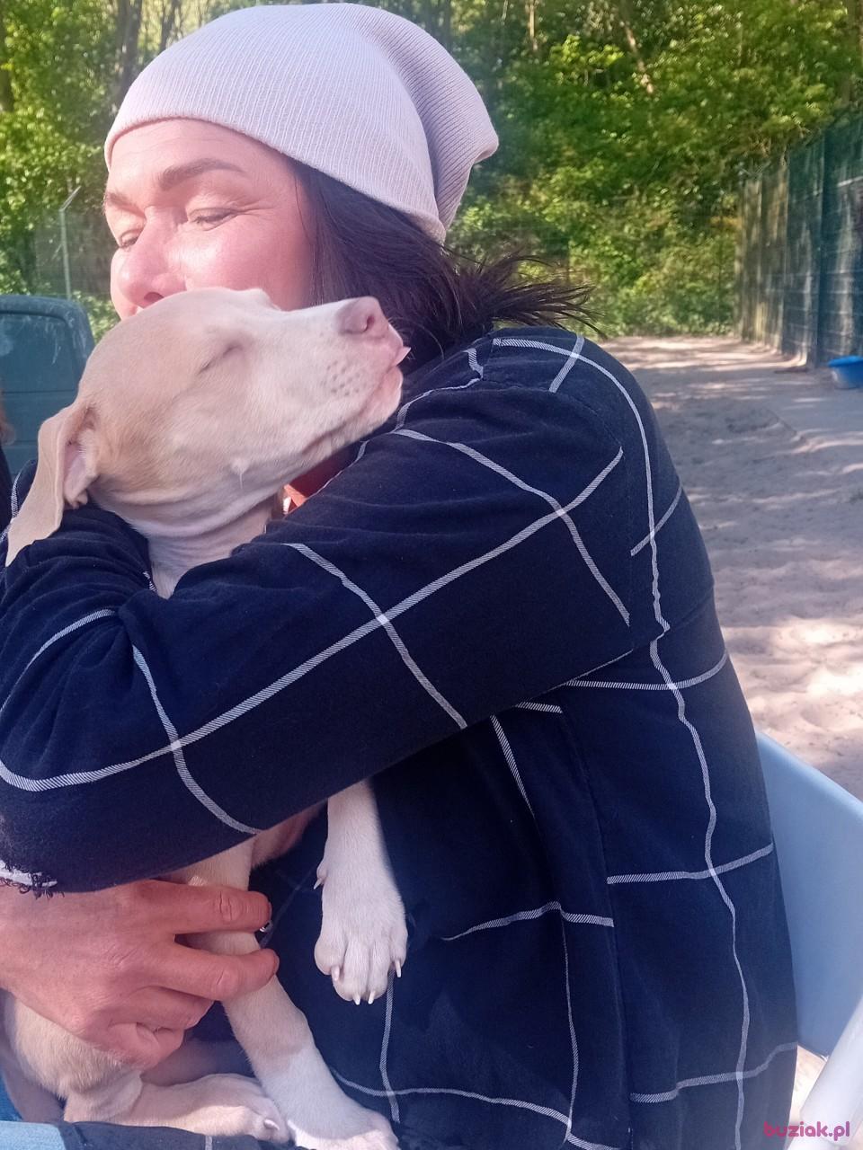 Beataa, Kobieta, 57, Haga, Holandia, Zdjęcie: 2