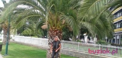 henryk, Male, 66, Zabrze, Polska, Photo: 2