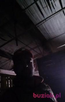 Przemekm, Mężczyzna, 41, Holandia, Zdjęcie: 2