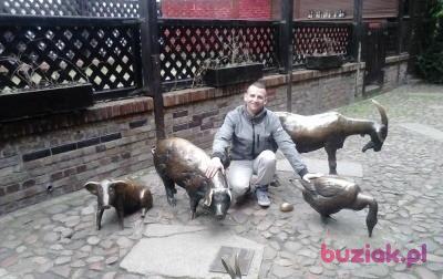 Jeka, Mężczyzna, 42, Świdnica, Polska, Zdjęcie: 3