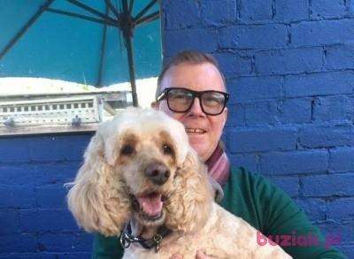 Robert , Mężczyzna, 66, Chicago, USA, Zdjęcie: 3