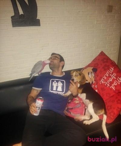 Piotr, Mężczyzna, 50, Rotterdam, Holandia, Zdjęcie: 4