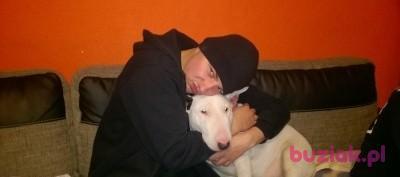 Rafał, Mężczyzna, 34, Katowice, Polska, Zdjęcie: 3